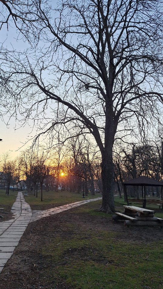 Свещената сутрин — рутина като основа